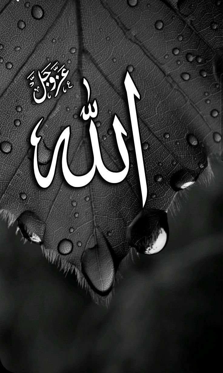 allah dp for whatsapp