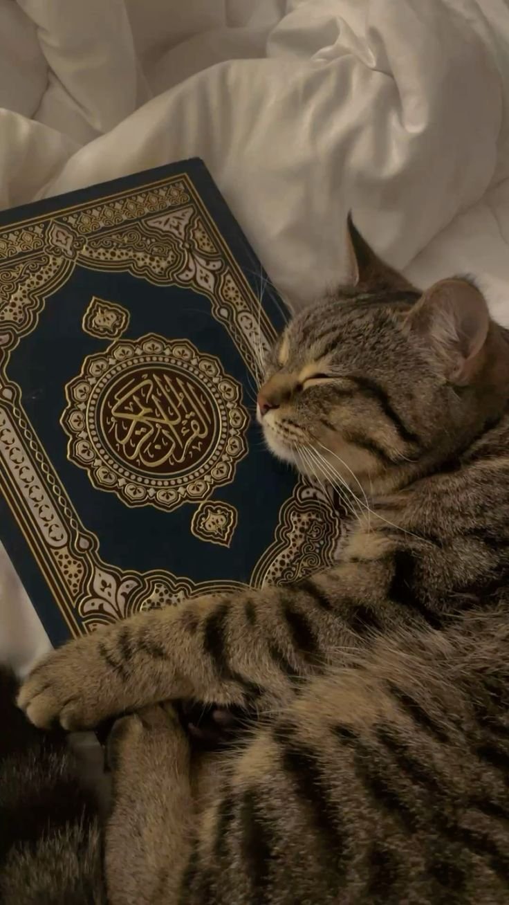 allah dp for whatsapp girl