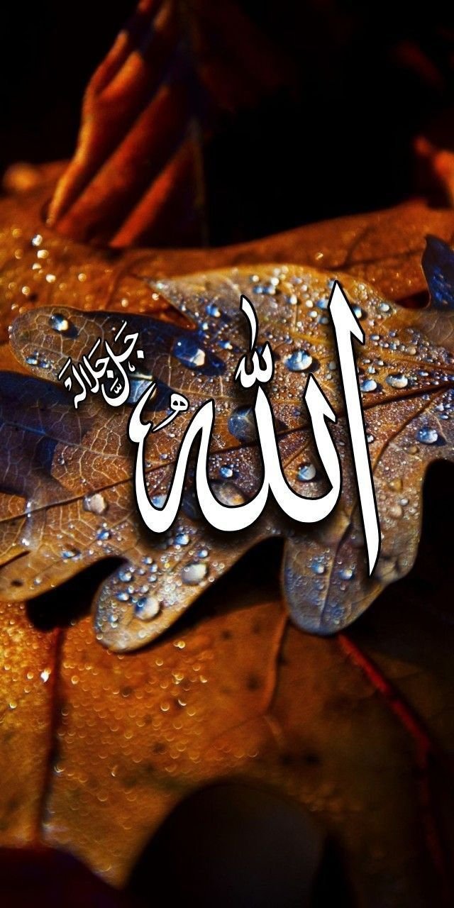 allah dp for whatsapp in english