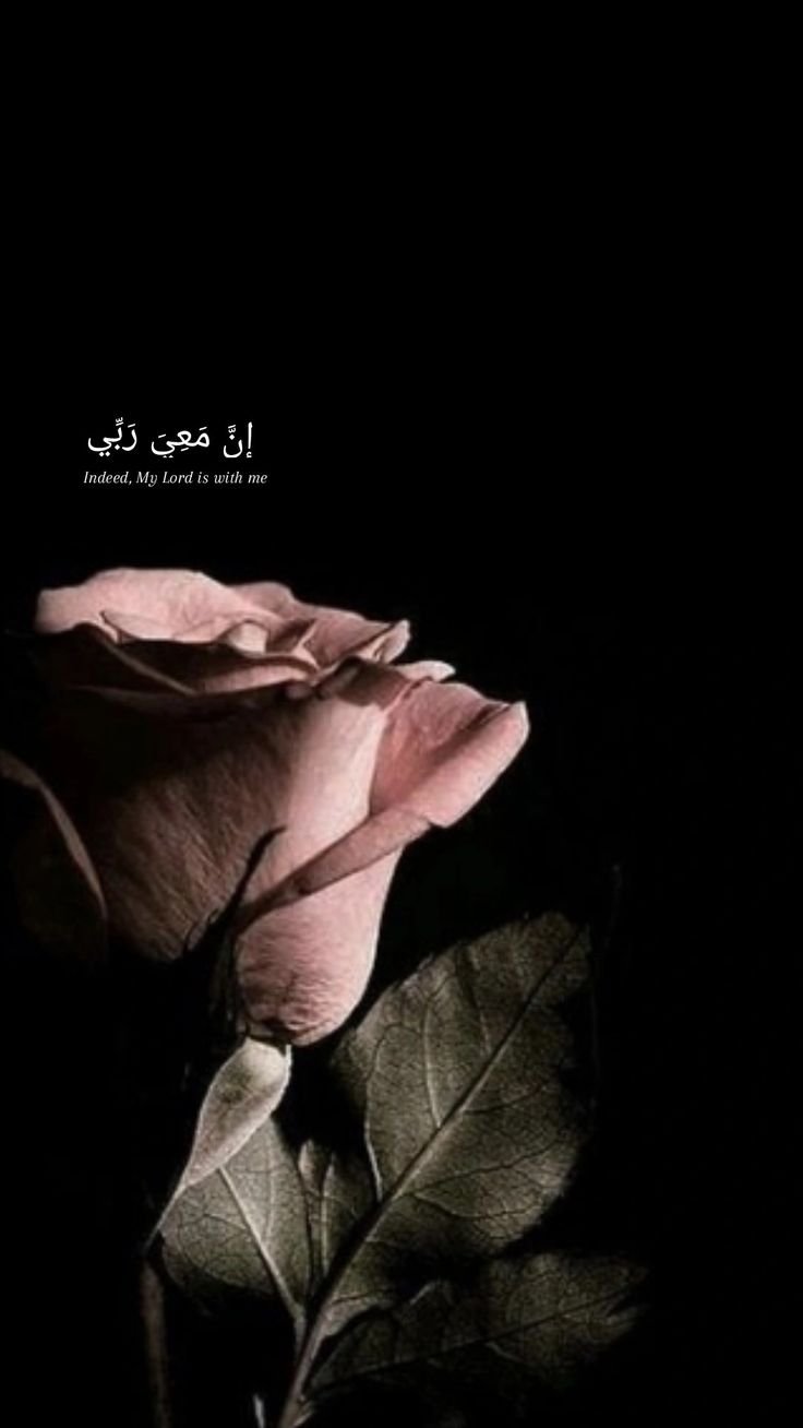 allah dp girl