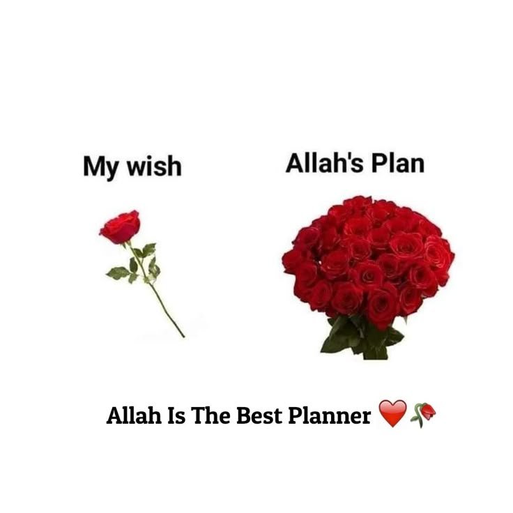 allah dp
