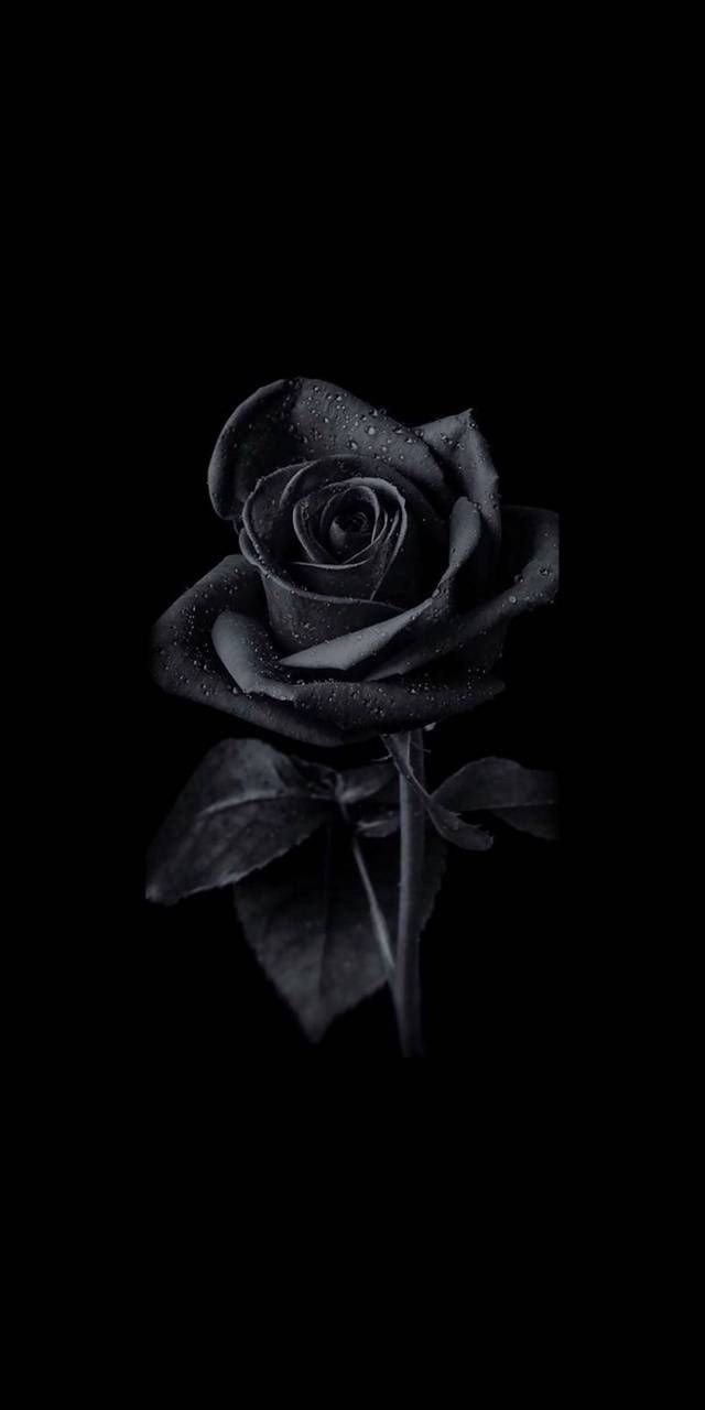 black dp for girls black dp for girls
