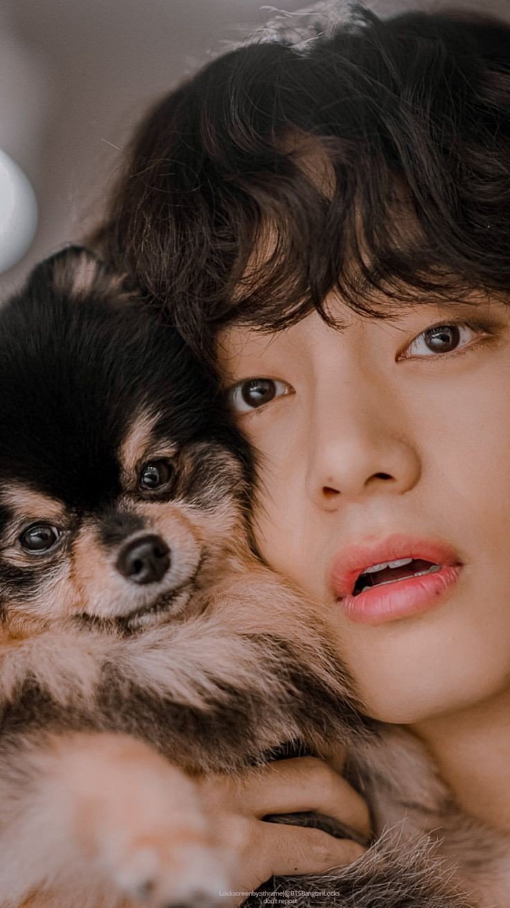 bts dp for girls bts dp for girls