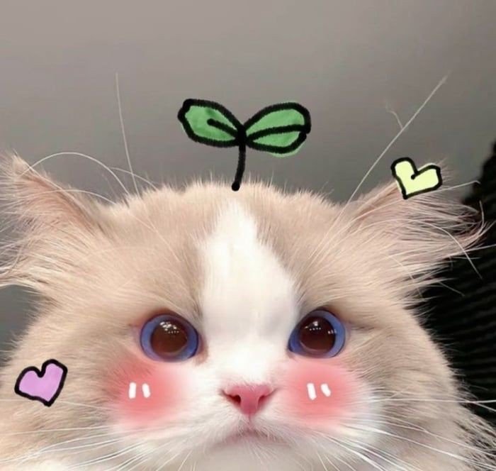 cute dp for instagram girl