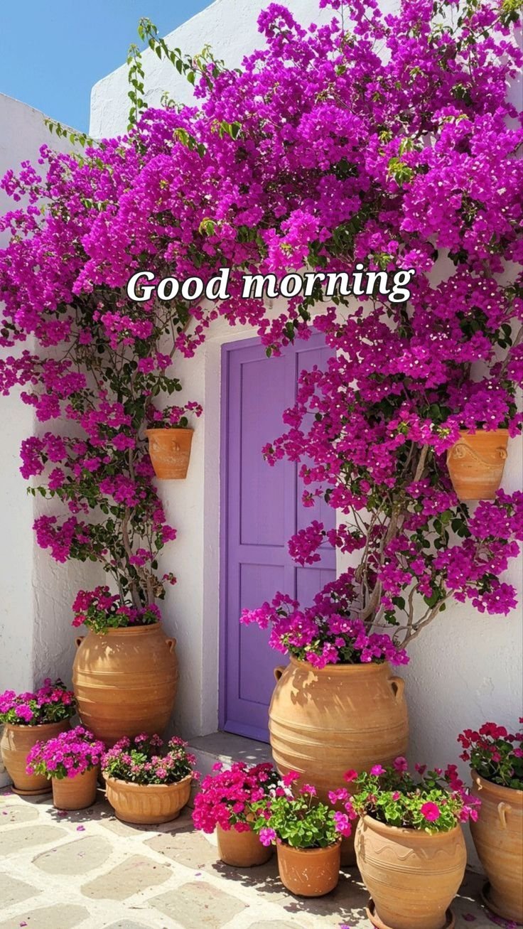 good morning images aesthetic good morning images aesthetic
