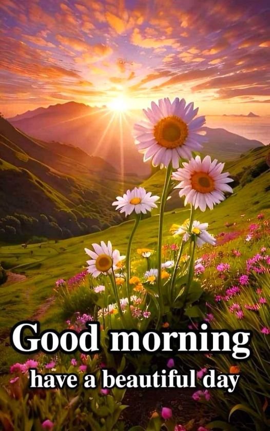 good morning images and messages good morning images and messages