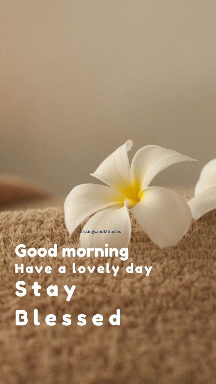 good morning images and quotes good morning images and quotes