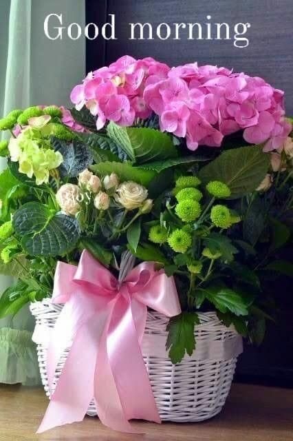 good morning images and quotes good morning images and quotes