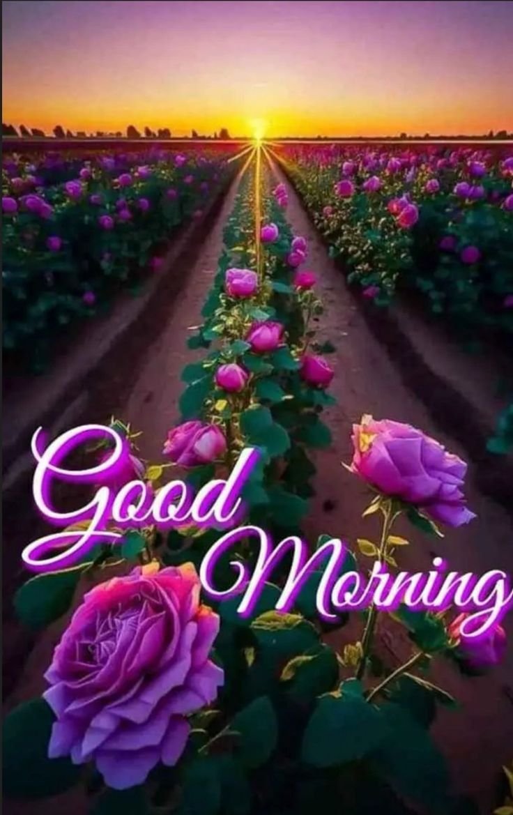 good morning images and wishes good morning images and wishes