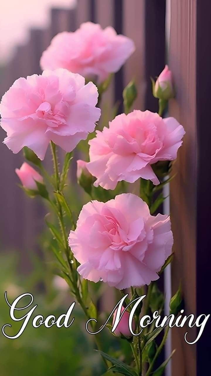 good morning images app good morning images app