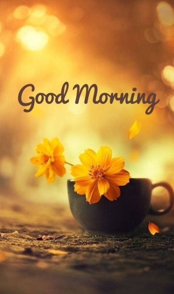 good morning images arabic good morning images arabic