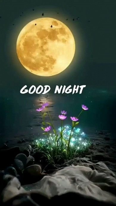 good night images and messages good night images and messages