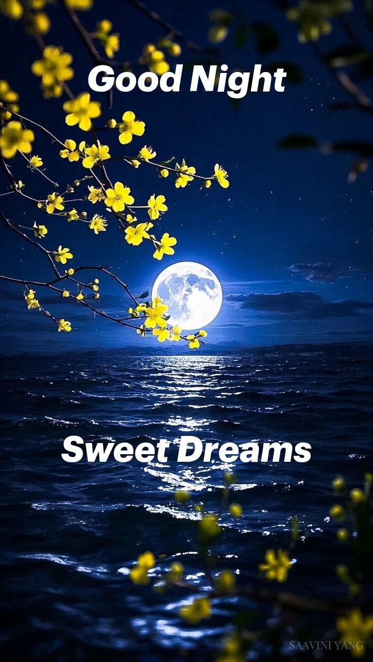 good night images and messages good night images and messages