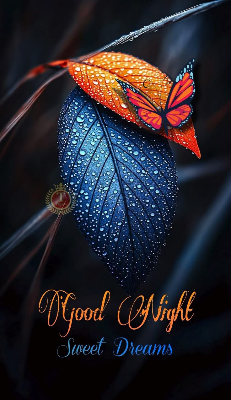 good night images and quotes good night images and quotes