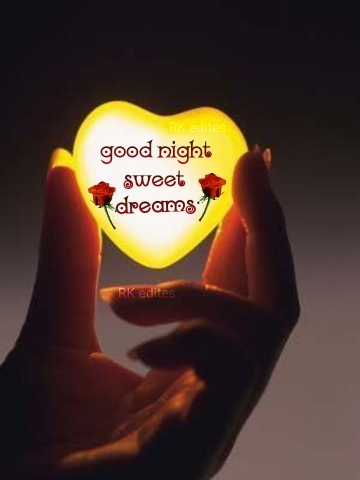 good night images animals good night images animals