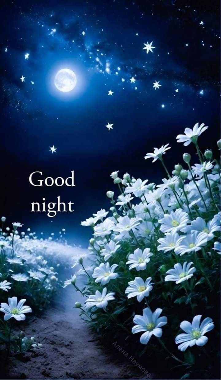 good night images assamese good night images assamese