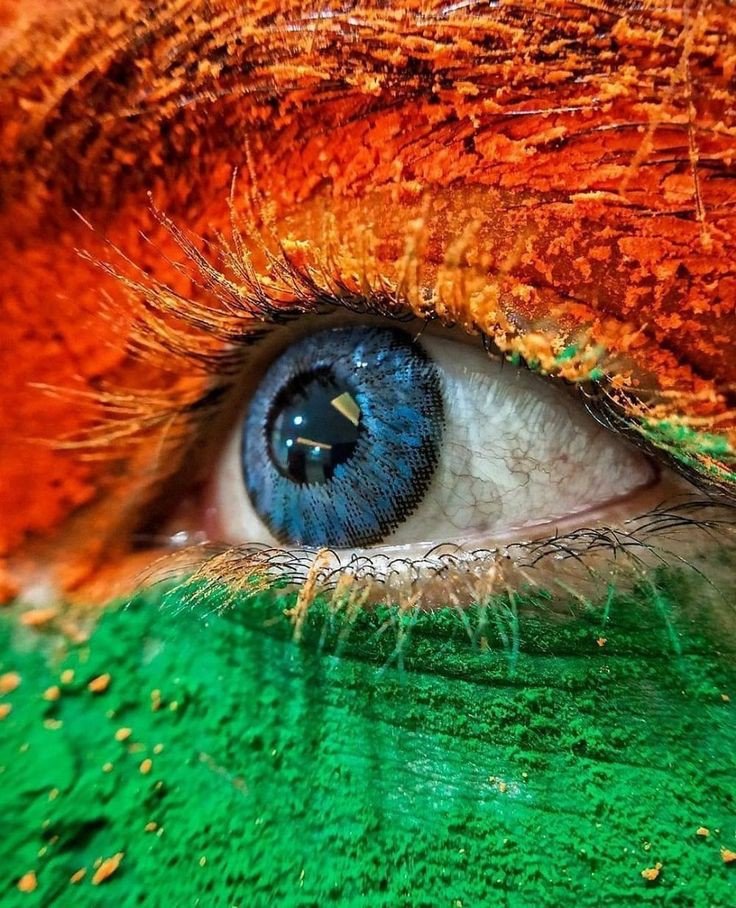 indian flag dp ai indian flag dp ai