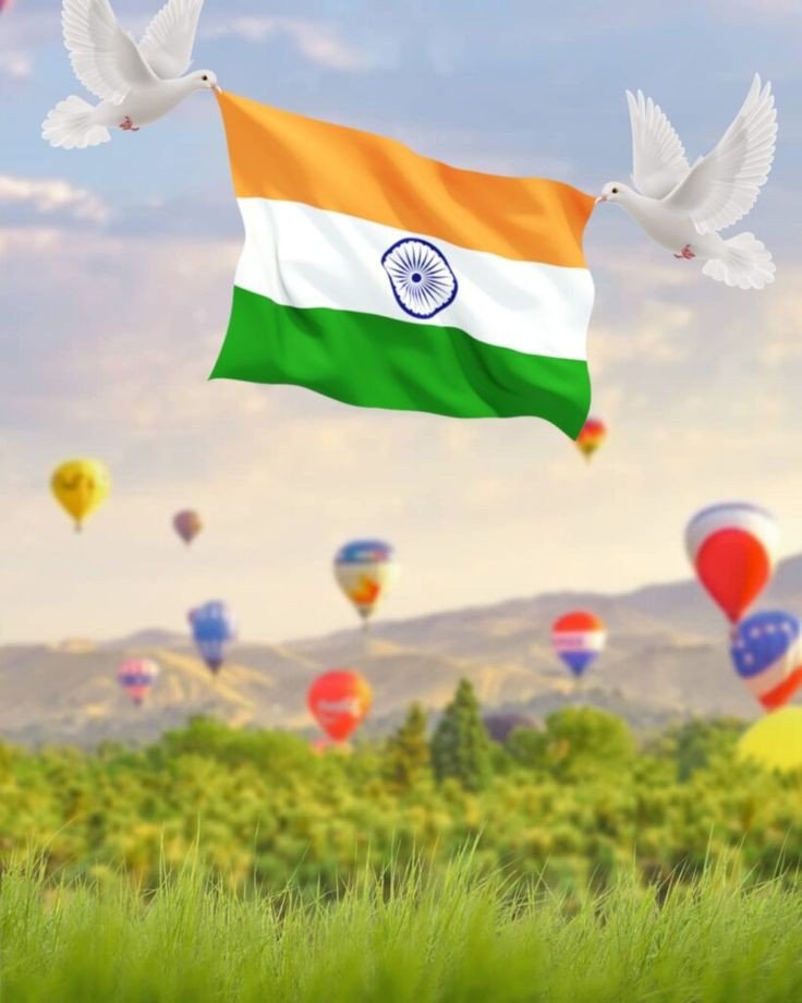indian flag dp girl attitude indian flag dp girl attitude