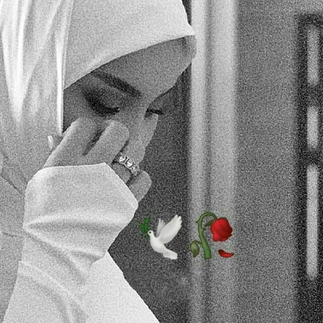 islamic girl pic stylish instagram hijab dp