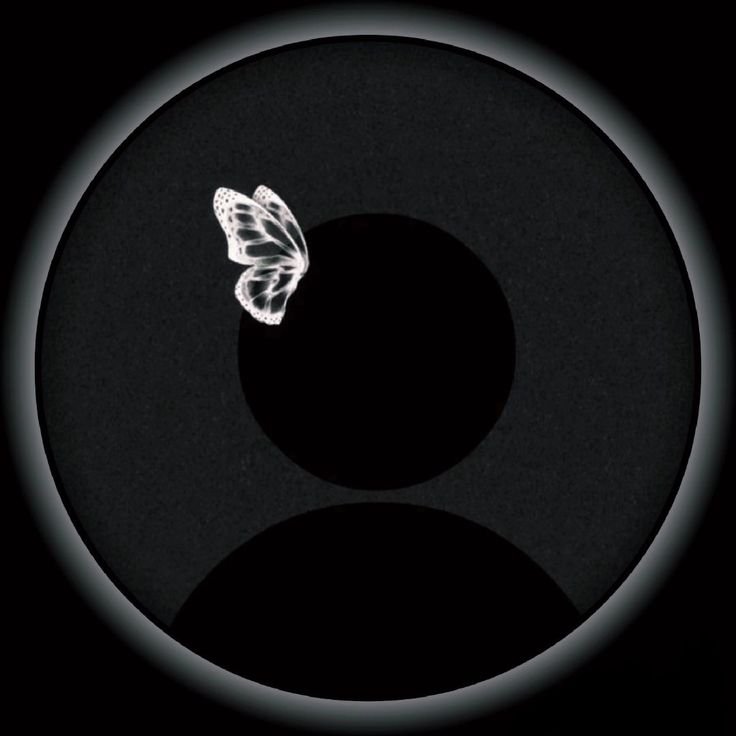 no dp instagram no dp instagram