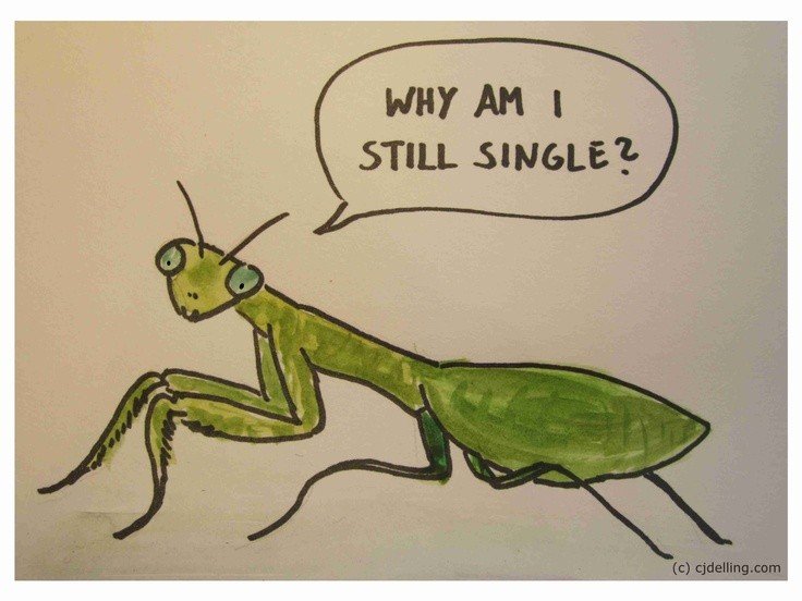 single dp girl love single dp girl love