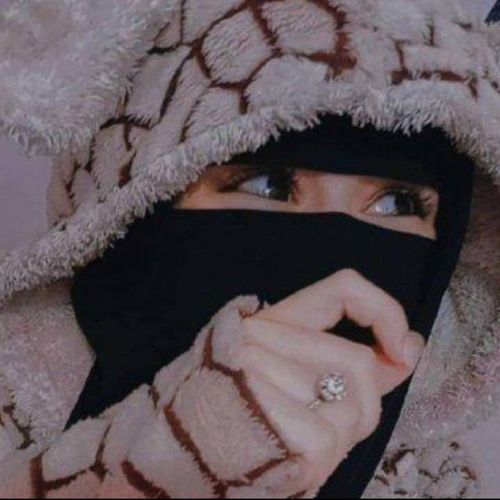 stylish instagram hijab dp