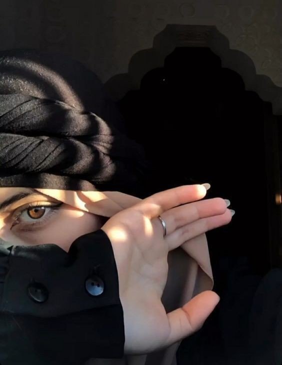 stylish instagram hijab dp
