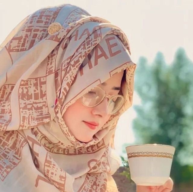 stylish instagram hijab dp