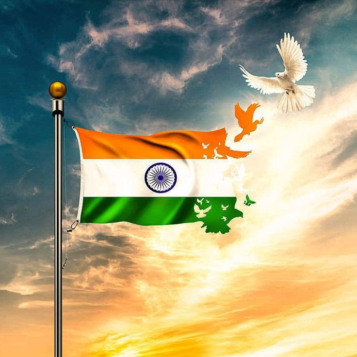 tiranga dp tiranga dp