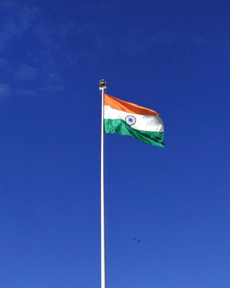 tiranga dp girl tiranga dp girl