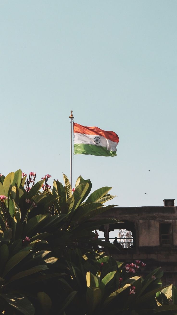 tiranga dp hd tiranga dp hd