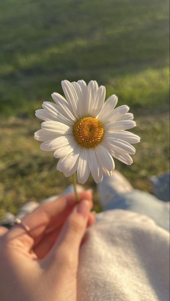 whatsapp dp for girls whatsapp dp for girls