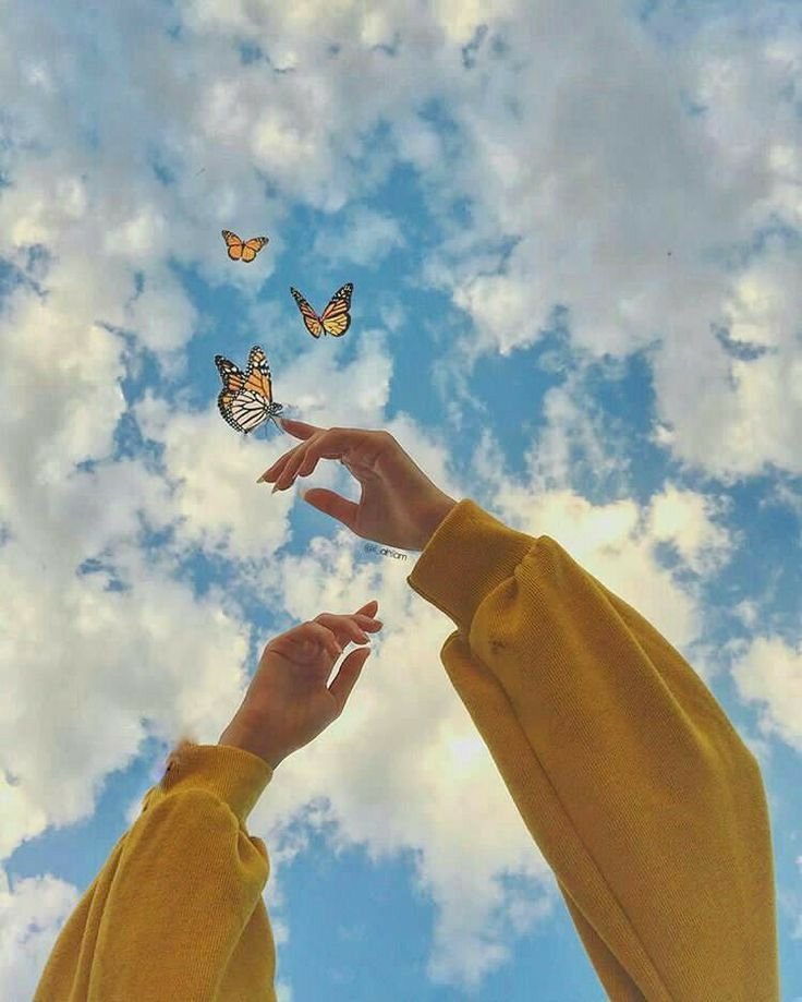 whatsapp dp size whatsapp dp size