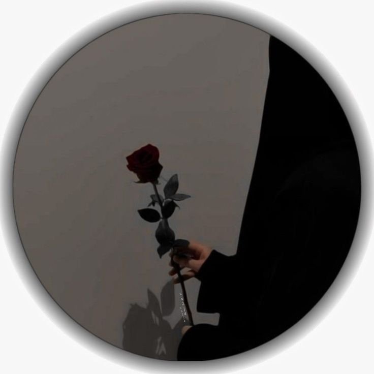 whatsapp dp size whatsapp dp size