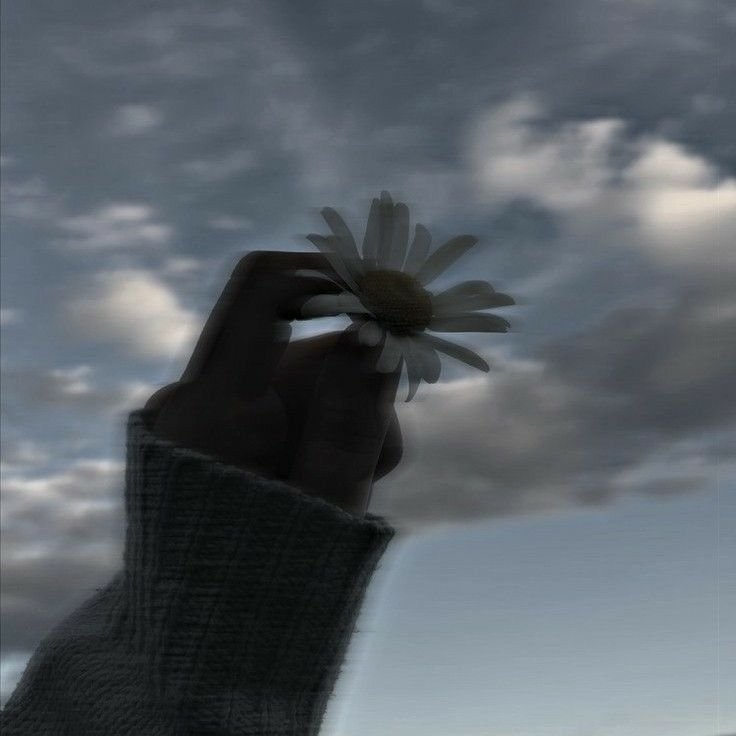 aesthetic dp for girls