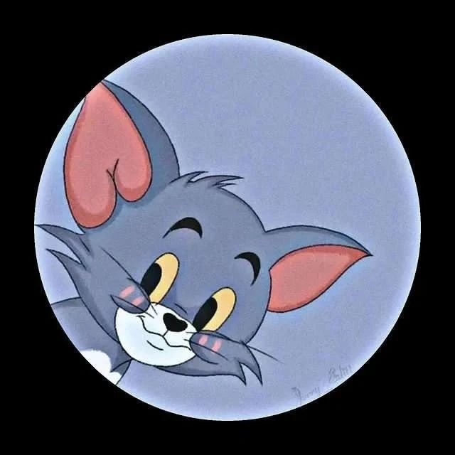 aesthetic dp for whatsapp