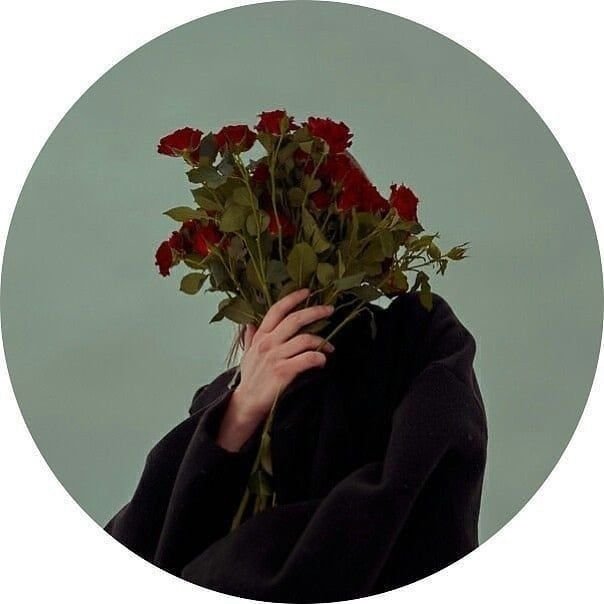 aesthetic dp for whatsapp