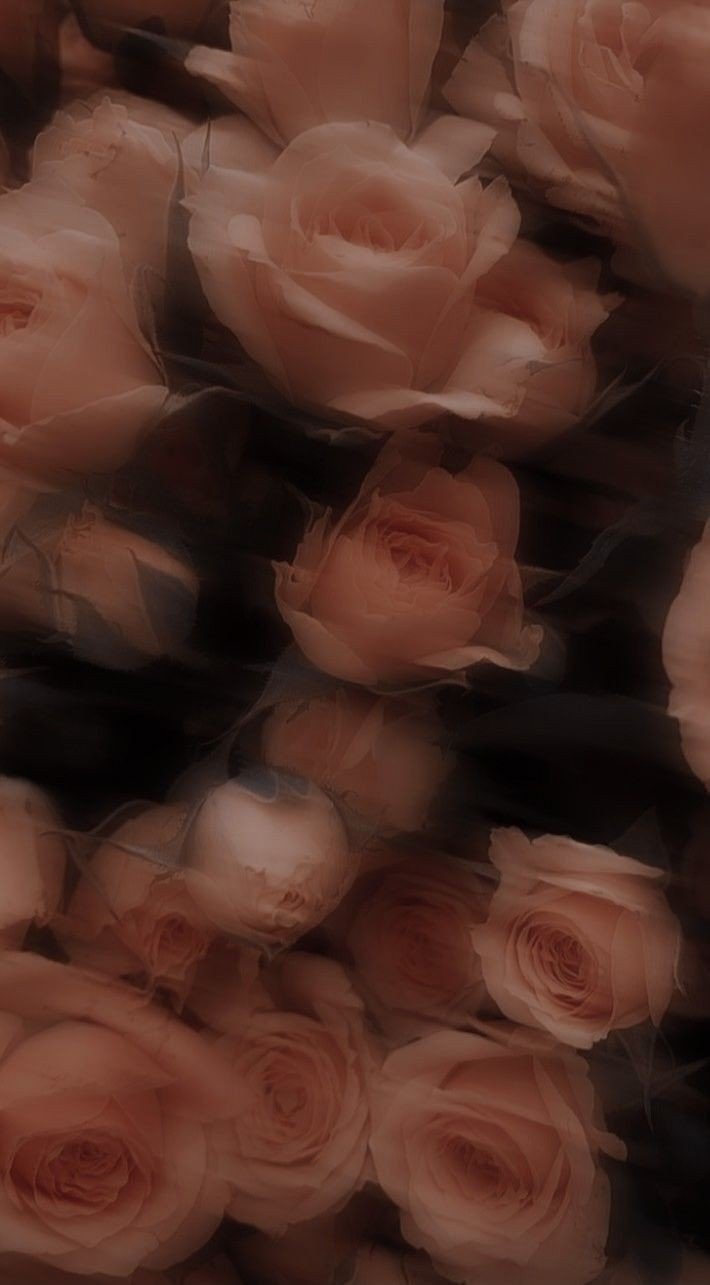 aesthetic dp for whatsapp girl