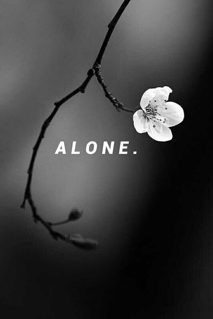 alone dp hd