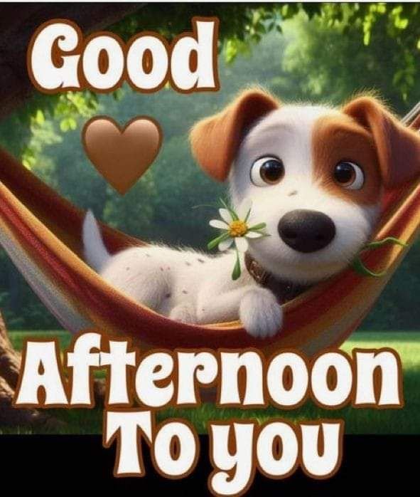 good afternoon images aesthetic