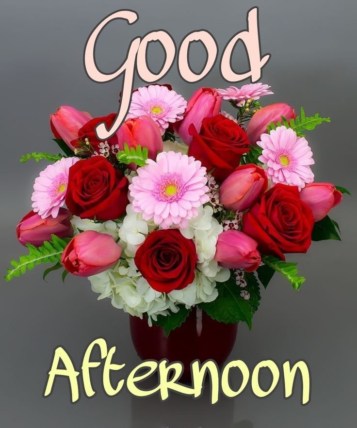 good afternoon images african american