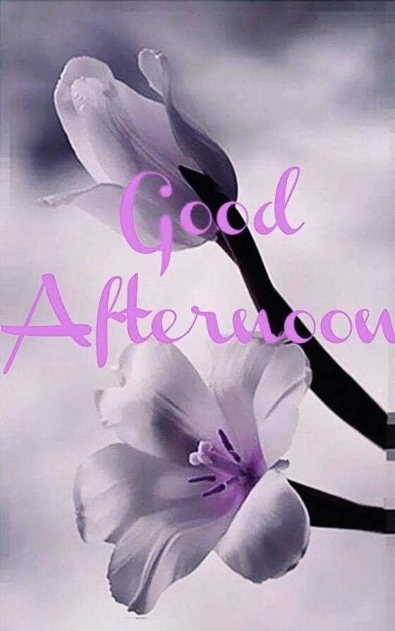 good afternoon images and blessings