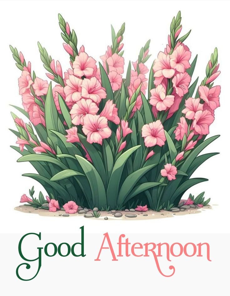 good afternoon images and quotes