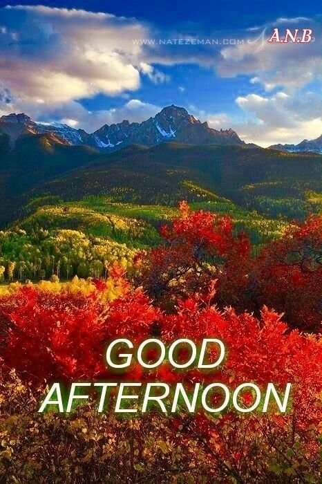 good afternoon images and wishes