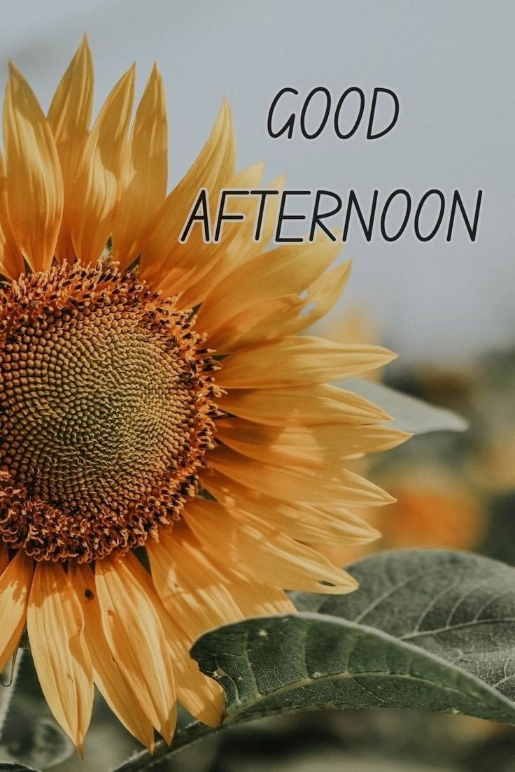 good afternoon images animated