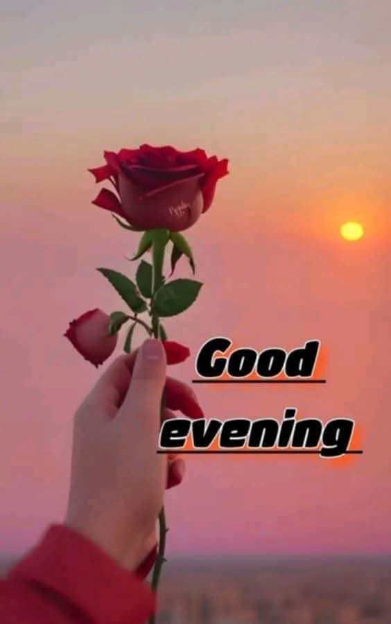 good evening images and messages