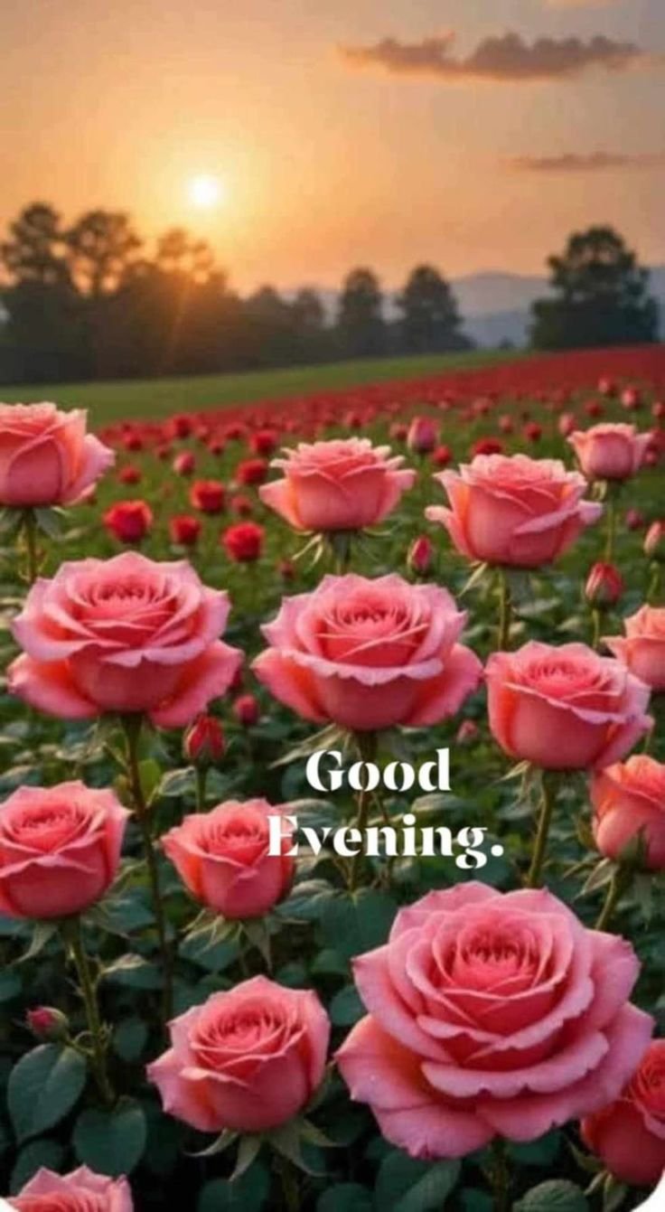 good evening images and messages