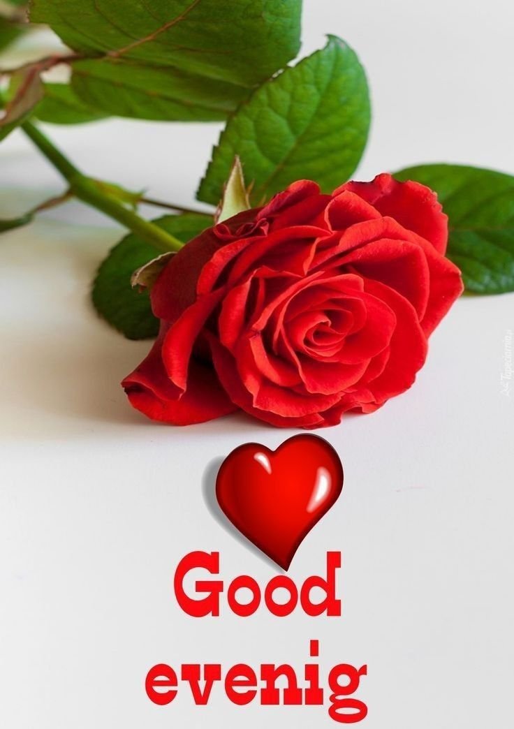 good evening images and quotes