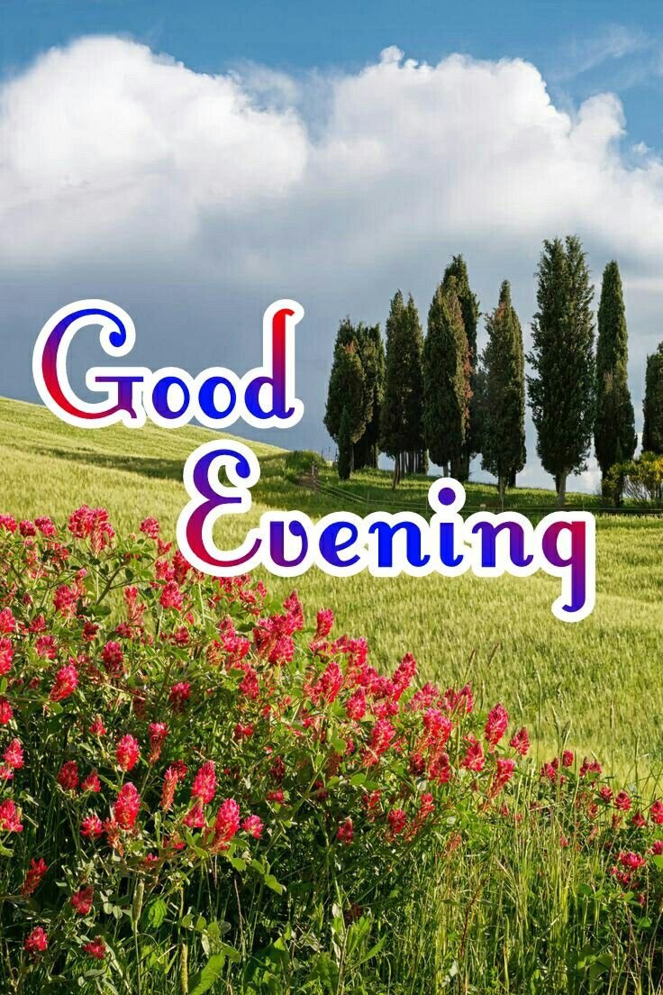 good evening images and quotes