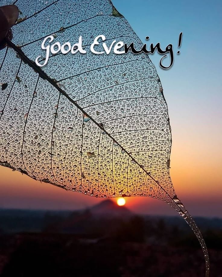 good evening images and quotes